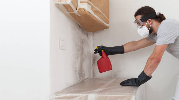 Professional Bathroom Mold Removal technician working in Wellersburg, PA